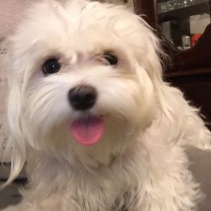 Meet your Posher, Ali